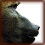 Benutzeravatar