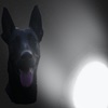 Benutzeravatar